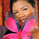 Download Asian Videos - Only Inside Thaichix